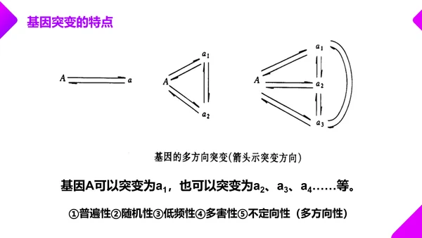 基因突变和基因重组初高中生物PPT课件