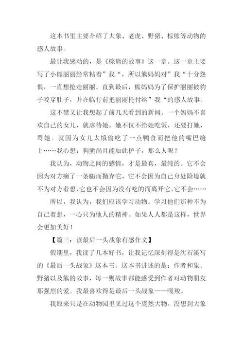读最后一头战象有感350字.docx