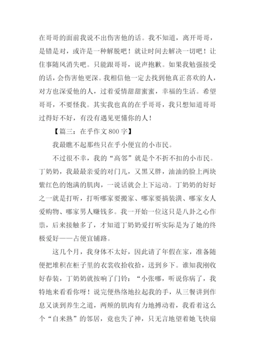 在乎作文800字0.docx
