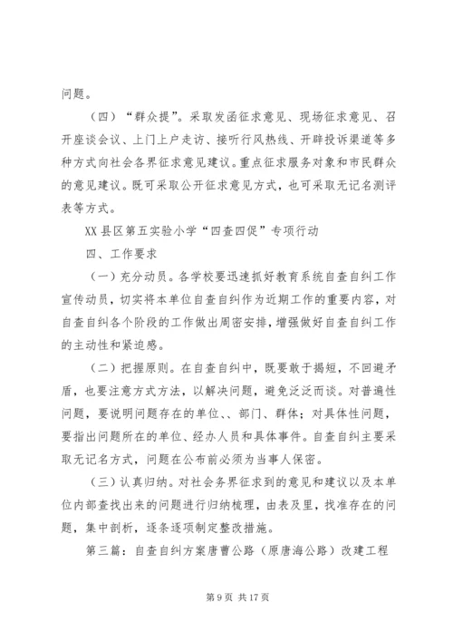 自查自纠工作方案.docx