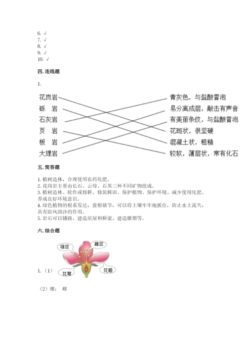 教科版科学四年级下册第三单元《岩石与土壤》测试卷带答案（a卷）.docx