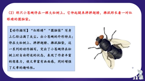 统编版四年级语文下学期期中核心考点集训第二单元（复习课件）