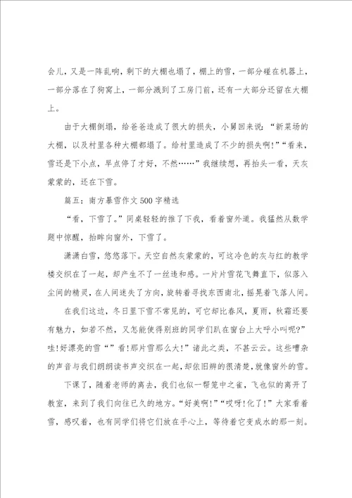 南方暴雪作文500字精选5篇