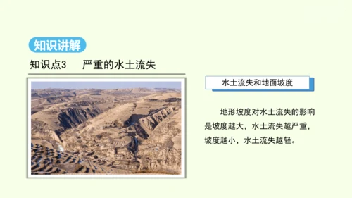 6.3 世界最大的黄土堆积区——黄土高原 第2课时 严重的水土流失 水土保持（课件29张）- 人教版