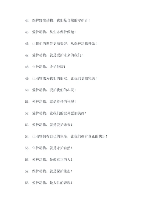 动物朋友宣传标语大全