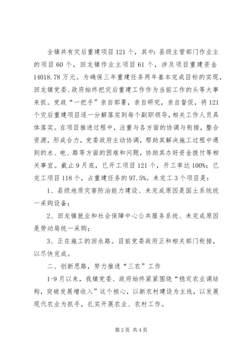 乡镇政府某年下半年工作总结及年末工作计划.docx