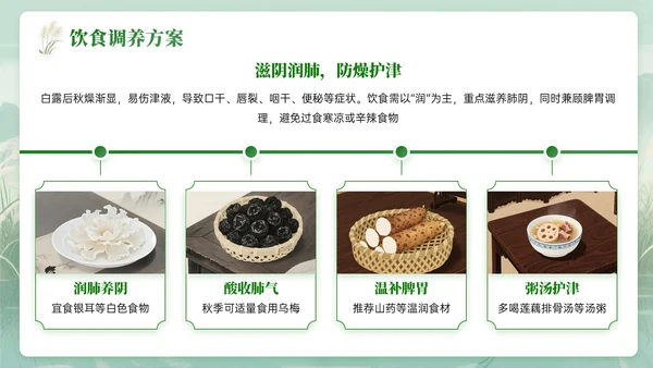 绿色中国风白露节气知识PPT模板