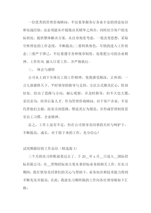 新年试用期最好的工作总结.docx