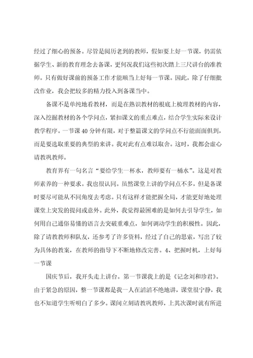 大学生高中语文实习总结