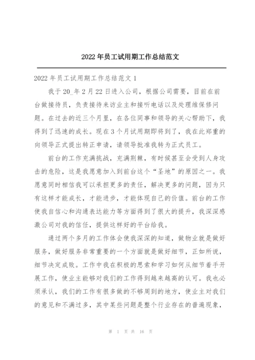 2022年员工试用期工作总结范文.docx