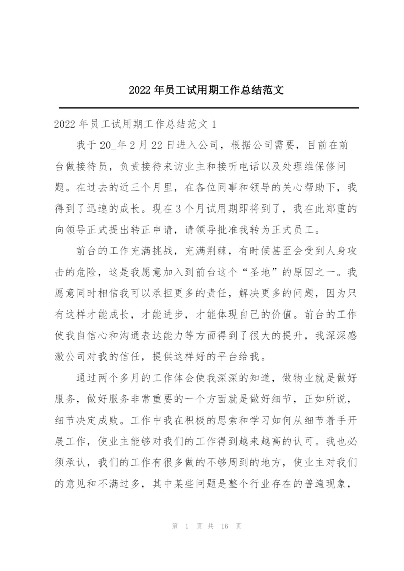 2022年员工试用期工作总结范文.docx