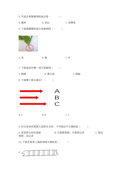 教科版一年级上册科学期末测试卷精品（精选题）.docx