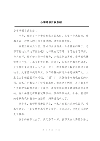 小学寒假自我总结.docx