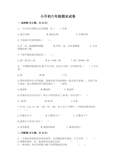 小升初六年级期末试卷（名校卷）.docx