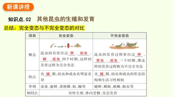 7.1.2昆虫的生殖和发育-八年级生物人教版下学期同步精品课件(共29张PPT)