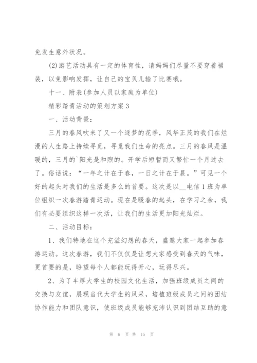 精彩踏青活动的策划方案.docx