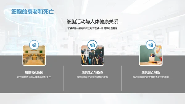 生命之源：细胞揭秘