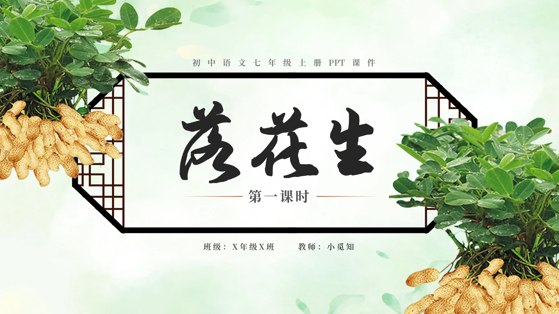 绿色简约初中语文落花生说课课件PPT模板七年级语文上册课件