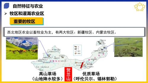 八年级期末复习地图突破【八下全册】（课件53张）-八年级地理下册期中考点大串讲（人教版）