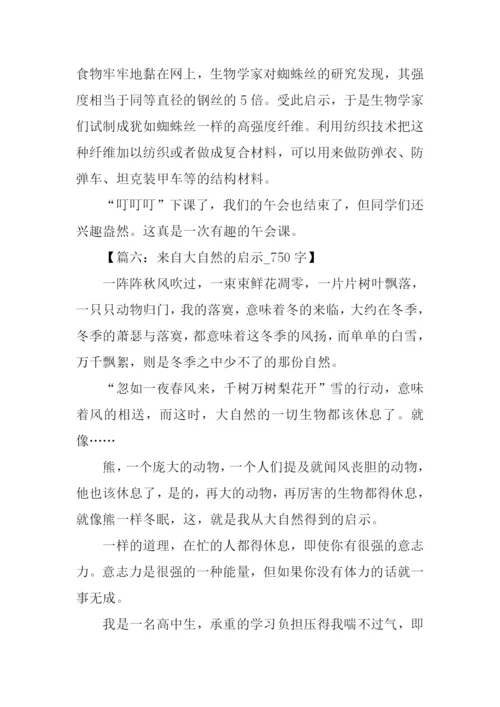 有关大自然启示的作文.docx