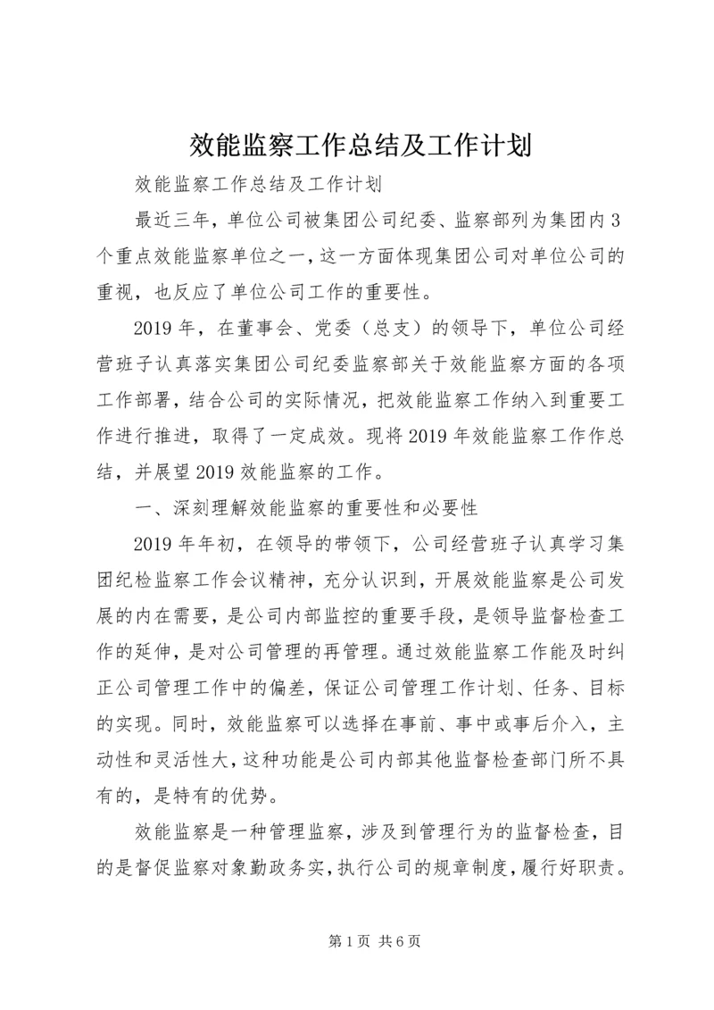 效能监察工作总结及工作计划.docx
