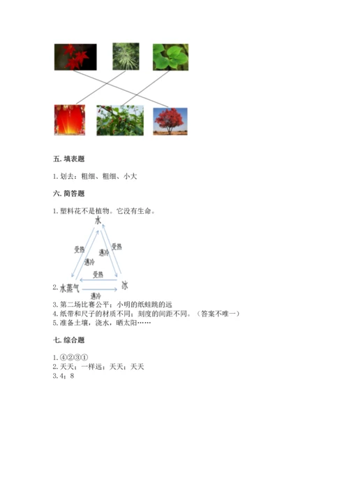 教科版一年级上册科学期末测试卷a4版可打印.docx