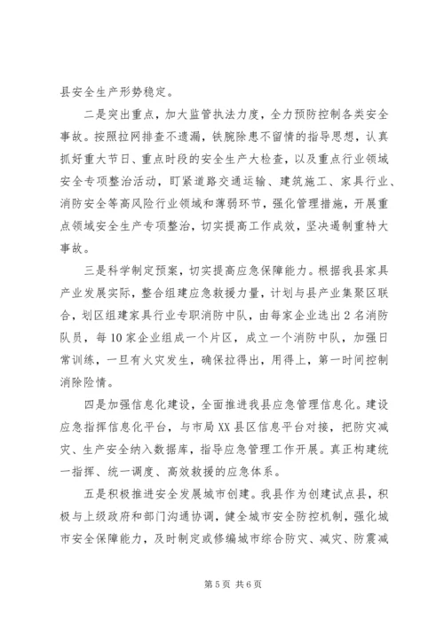 应急管理局XX年工作总结及XX年工作计划.docx