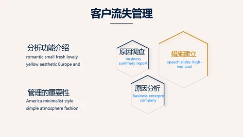 高端稳重大气商业计划书商务PPT动态