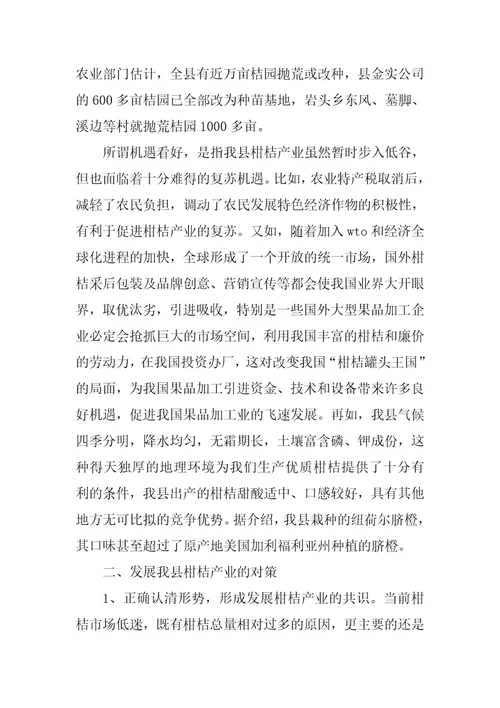 柑桔产业的调查报告