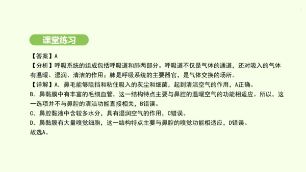 第四单元-第三章-第一节-呼吸道对空气的处理课件-2024-2025学年七年级生物下学期人教版(20
