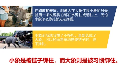 让优秀成为一种习惯主题教育班会PPT课件