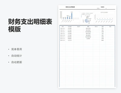 财务支出明细表模版
