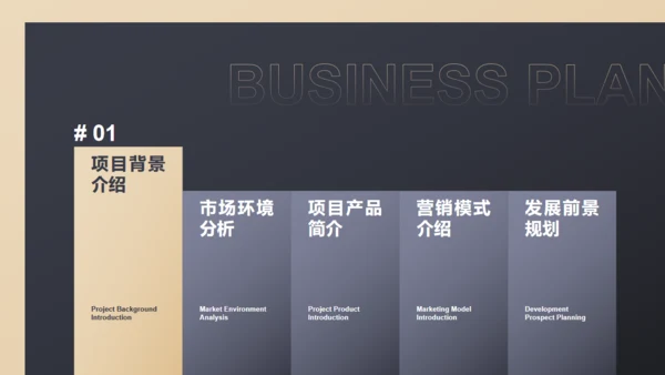 黑色商务范商业计划书通用PPT模板