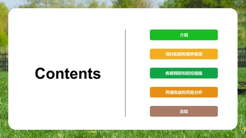 绿色现代养殖流程管理与疾病预防PPT模板