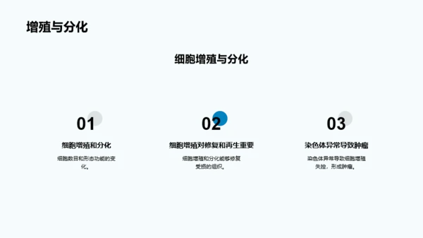 蓝色细胞结构和功能介绍PPT模板