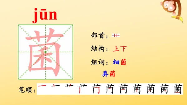 16 太阳 课件