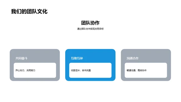 公司发展与战略规划