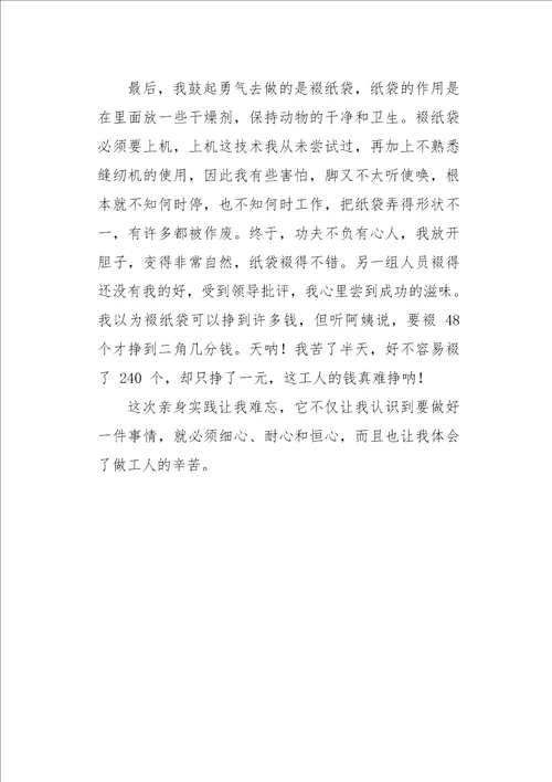 难忘的一次体验作文650字