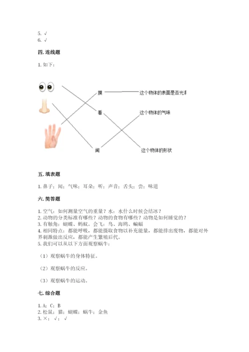 教科版小学科学一年级下册期末测试卷【培优】.docx