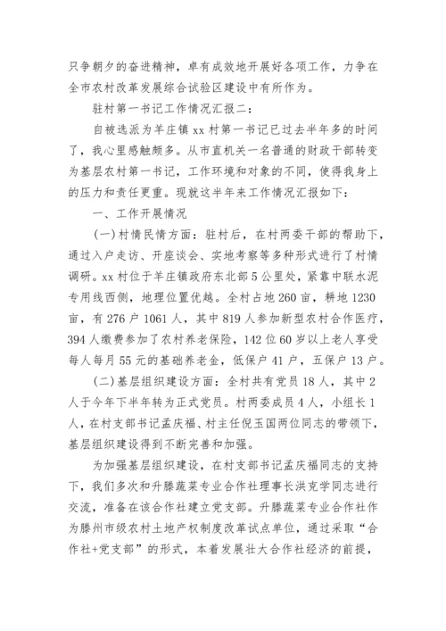 驻村第一书记工作情况汇报.docx
