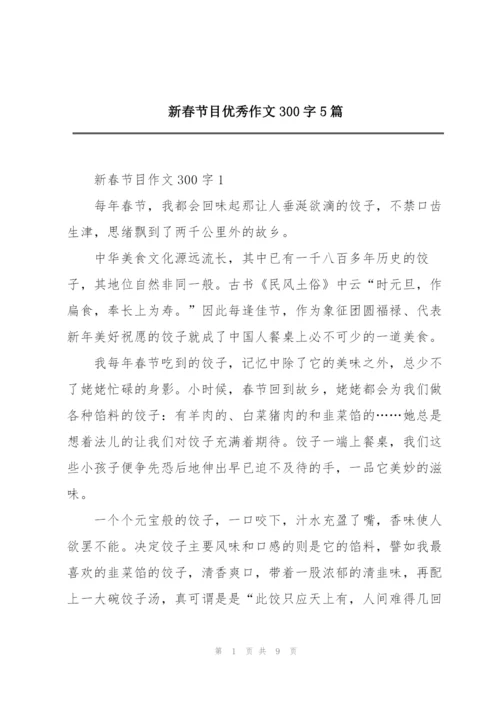 新春节目优秀作文300字5篇.docx