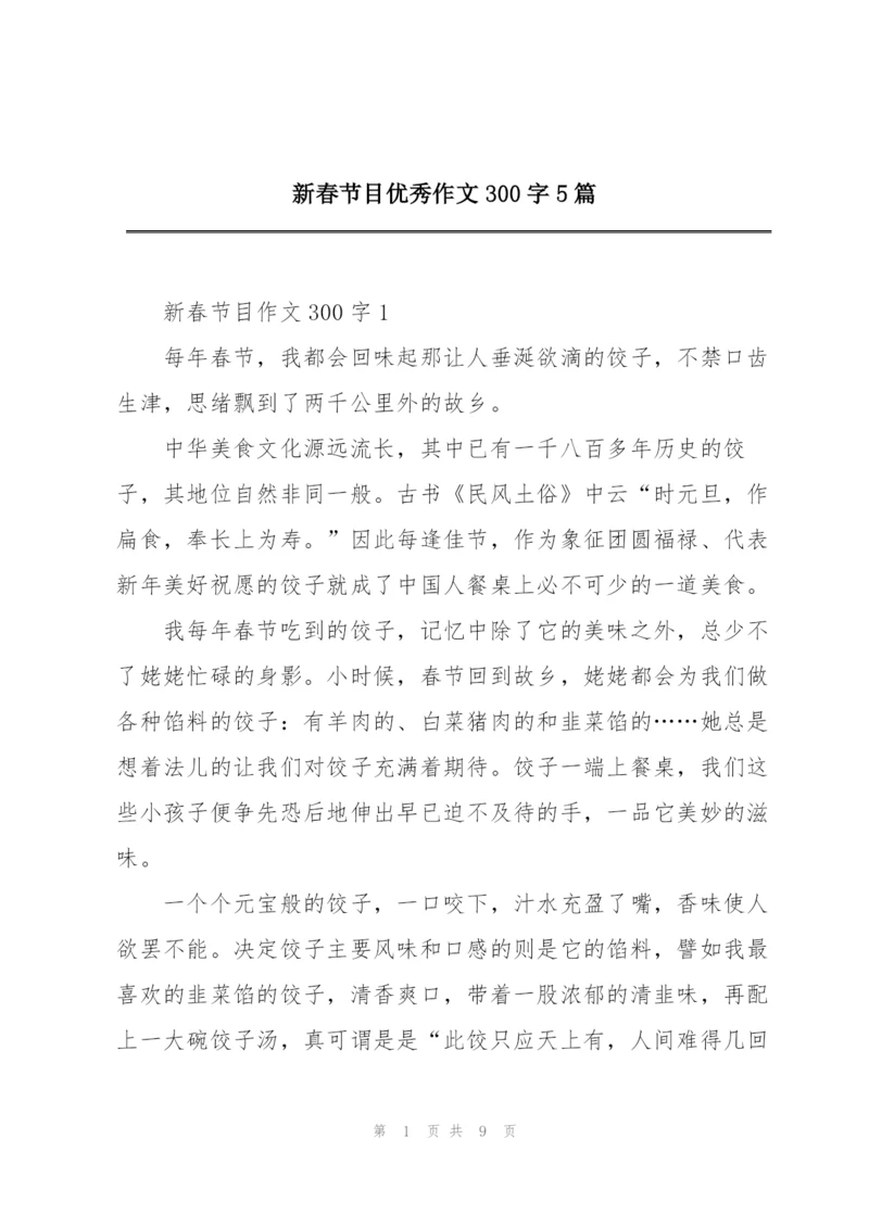 新春节目优秀作文300字5篇.docx