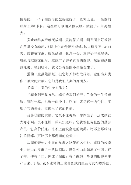 蚕的生命力作文.docx
