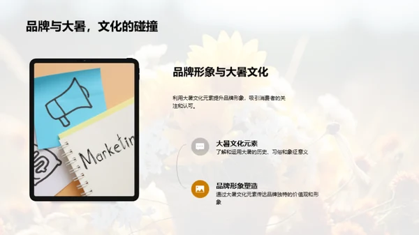 大暑季营销策划