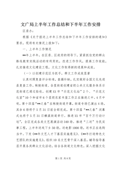 文广局上半年工作总结和下半年工作安排 (2).docx