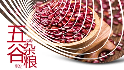 时尚五谷杂粮养生五谷粗粮美食PPT模板