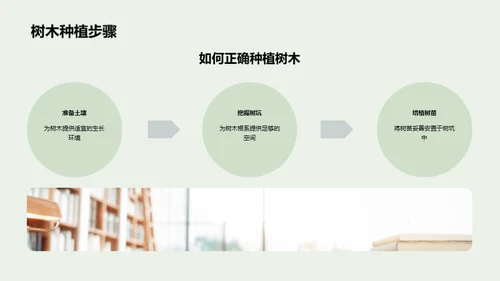 种树美化环境