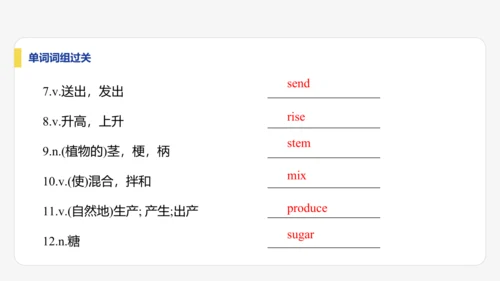【学霸提优】Unit 6 The power of plants  单元复习课件 外研版（2024）