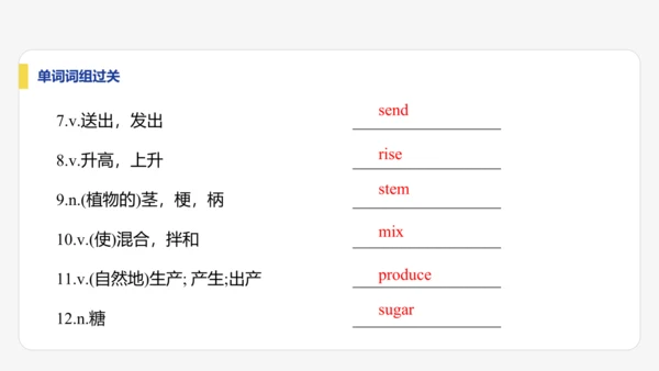 【学霸提优】Unit 6 The power of plants  单元复习课件 外研版（2024）