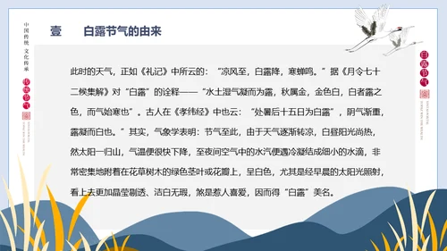白露节气白鹤通用PPT模版